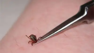 Zakon.kz, фото - Новости Zakon.kz от 19.04.2016 19:42