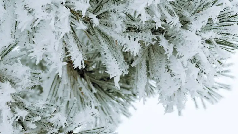 Снег, гололед, метель – прогноз погоды в Казахстане на 20 декабря