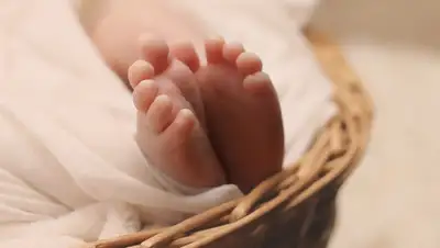 Pixabay, фото - Новости Zakon.kz от 04.06.2020 22:38