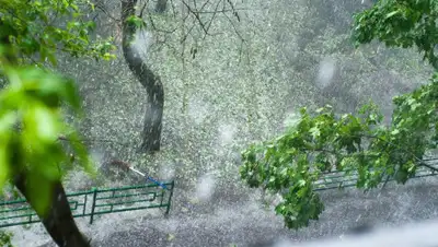 world.net, фото - Новости Zakon.kz от 23.05.2019 15:24