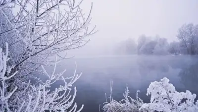 Pixabay, фото - Новости Zakon.kz от 25.01.2020 16:16