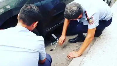 Zakon.kz, фото - Новости Zakon.kz от 08.09.2017 11:29