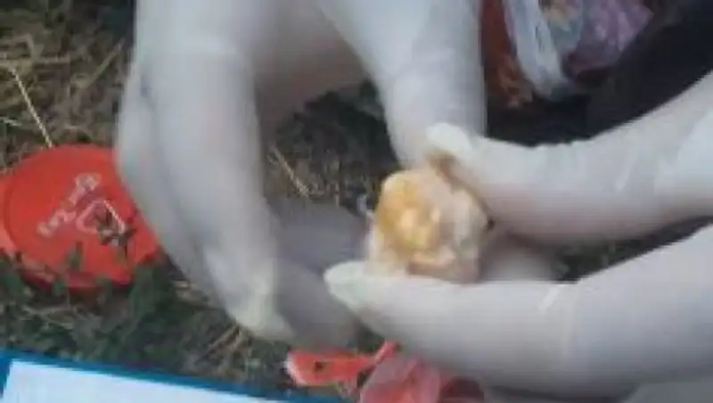 49-летнюю наркосбытчицу задержали в ЮКО