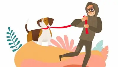 rkf.org.ru, фото - Новости Zakon.kz от 03.08.2021 23:25