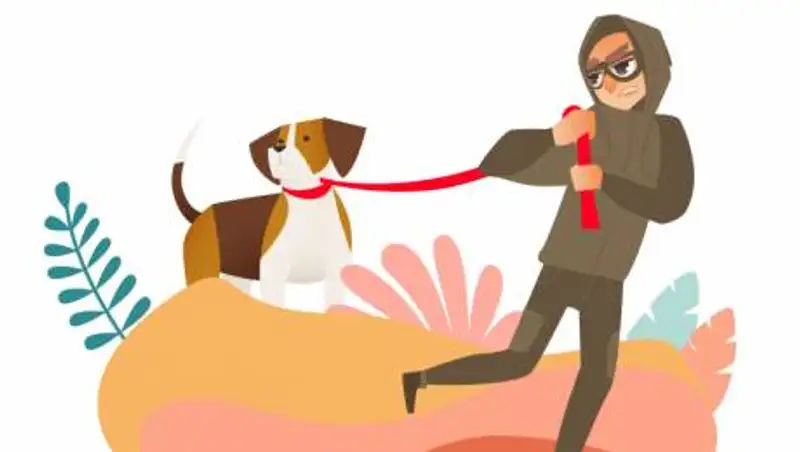 Кража породистой собаки в Талдыкоргане попала на видео