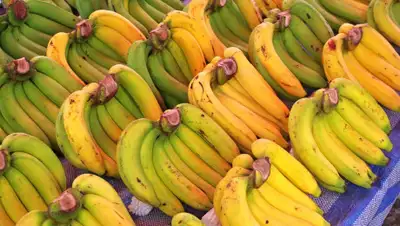 regnum.ru, фото - Новости Zakon.kz от 26.03.2020 12:55