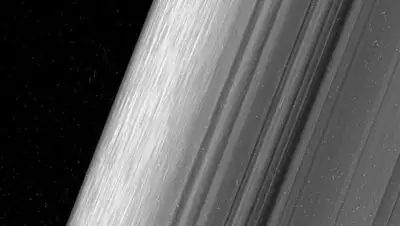 Zakon.kz, фото - Новости Zakon.kz от 01.02.2017 17:57