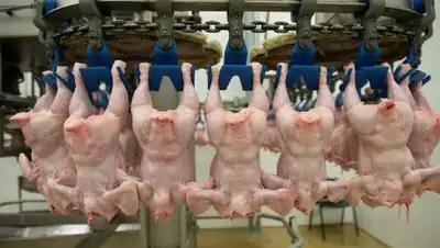 Финансы - TUT.by, фото - Новости Zakon.kz от 25.06.2018 23:05