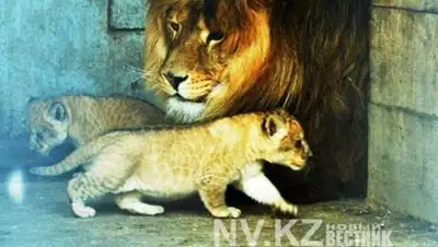 Zakon.kz, фото - Новости Zakon.kz от 05.06.2014 19:14