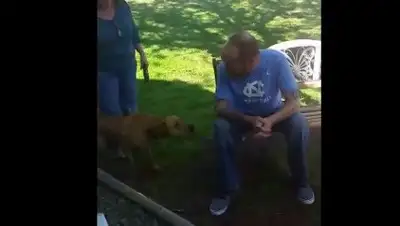 Zakon.kz, фото - Новости Zakon.kz от 26.04.2017 00:06