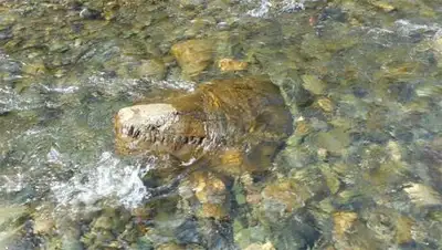 Zakon.kz, фото - Новости Zakon.kz от 14.09.2014 19:28