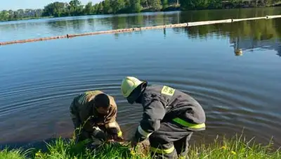 Zakon.kz, фото - Новости Zakon.kz от 15.11.2013 15:00