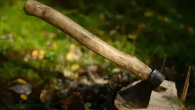 Zakon.kz, фото - Новости Zakon.kz от 08.08.2015 03:01