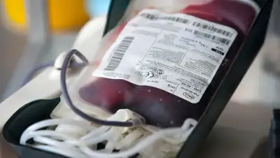 VistaNews.ru, фото - Новости Zakon.kz от 12.03.2019 12:45