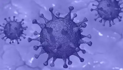 pixabay.com, фото - Новости Zakon.kz от 09.04.2020 10:35