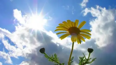 knews.kg, фото - Новости Zakon.kz от 06.05.2019 12:26