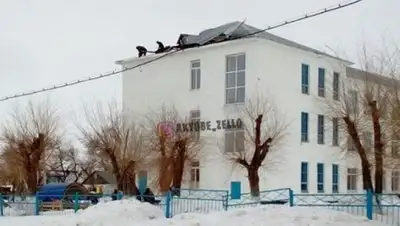 Zakon.kz, фото - Новости Zakon.kz от 24.03.2017 18:18