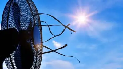 pixabay.com, фото - Новости Zakon.kz от 13.06.2021 16:14