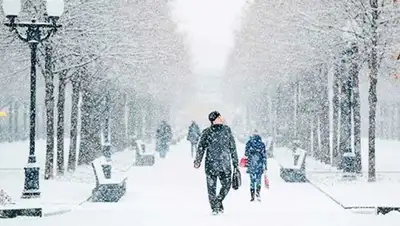 Zakon.kz, фото - Новости Zakon.kz от 31.01.2017 12:00