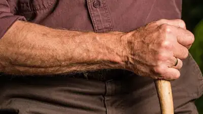 zab.ru, фото - Новости Zakon.kz от 28.04.2020 17:24