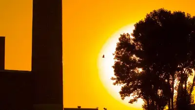 Pixabay, фото - Новости Zakon.kz от 27.05.2020 21:23