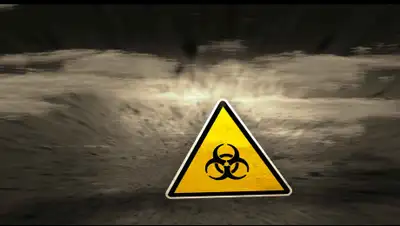 dailystorm, фото - Новости Zakon.kz от 11.05.2020 13:37