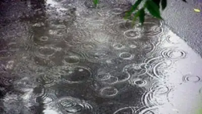 Zakon.kz, фото - Новости Zakon.kz от 13.05.2016 12:00