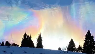 Facebook, фото - Новости Zakon.kz от 15.12.2020 17:38