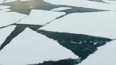 Zakon.kz, фото - Новости Zakon.kz от 08.01.2016 23:41