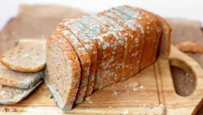 ostrnum.com, фото - Новости Zakon.kz от 08.07.2019 12:53