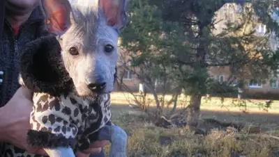 Zakon.kz, фото - Новости Zakon.kz от 17.11.2014 18:28