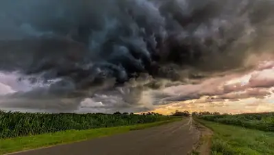 поле, прогноз, штормовое, фото - Новости Zakon.kz от 08.07.2022 20:22