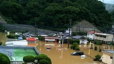 twitter.com/kotta_kumamoto, фото - Новости Zakon.kz от 04.07.2020 16:50