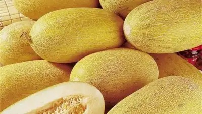 Zakon.kz, фото - Новости Zakon.kz от 18.07.2017 15:14