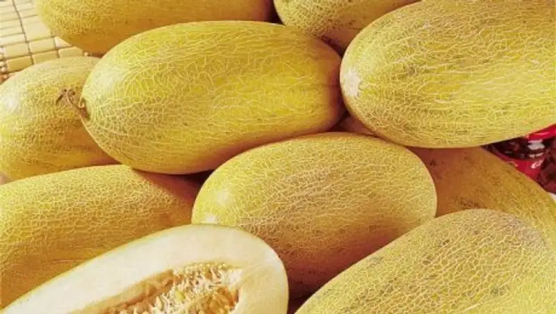 Более 180 тонн казахстанских фруктов не пустили в Новосибирскую область РФ