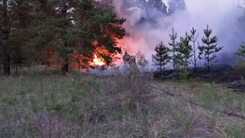 Пожар в области Абай, фото - Новости Zakon.kz от 23.05.2023 14:30