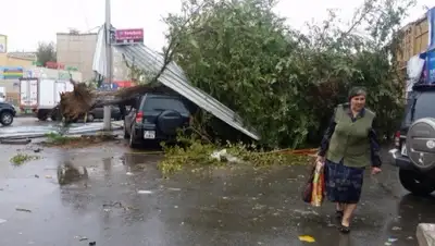 Zakon.kz, фото - Новости Zakon.kz от 27.08.2015 02:41