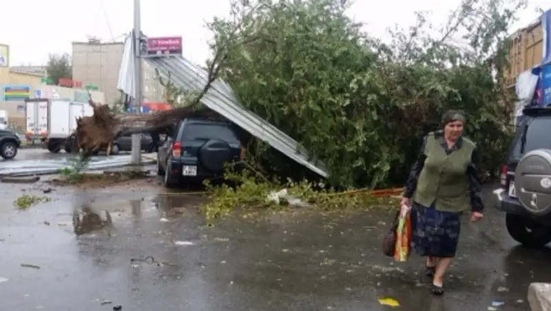 Сильный ветер в Семее повалил деревья и сорвал кровли домов