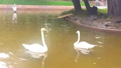 Zakon.kz, фото - Новости Zakon.kz от 29.07.2016 01:19