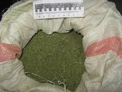 Zakon.kz, фото - Новости Zakon.kz от 01.08.2012 15:54