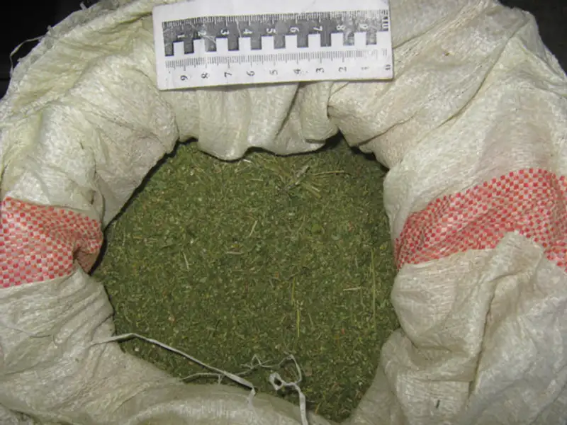 В Костанае сотрудники полиции изъяли более 10 кг наркотиков