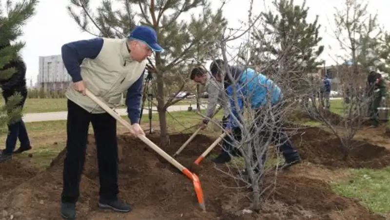 Депутаты Мажилиса озеленили проспект «Ұлы Дала» вблизи комплекса ЭКСПО-2017  