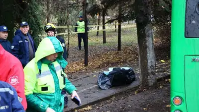 комментарии относительно аварии, фото - Новости Zakon.kz от 08.11.2022 18:00