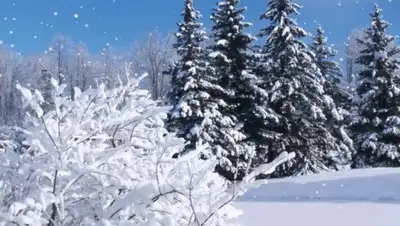 Youtube, фото - Новости Zakon.kz от 21.02.2020 06:09