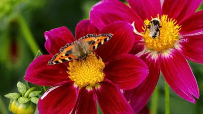 es.best-wallpaper.net, фото - Новости Zakon.kz от 12.08.2019 01:59