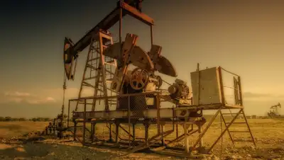 Pixabay, фото - Новости Zakon.kz от 13.04.2020 00:02