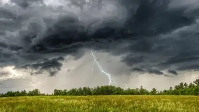 myseldon, фото - Новости Zakon.kz от 03.06.2020 06:02