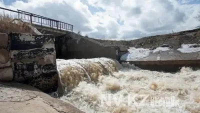 Zakon.kz, фото - Новости Zakon.kz от 15.10.2015 19:53