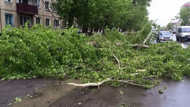 ЧС природного характера объявлена в Семее