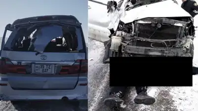 Polisia.kz., фото - Новости Zakon.kz от 01.03.2020 10:54